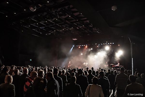 Woodgrain Bluesrocknight Groningen