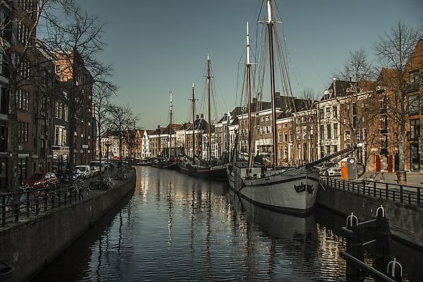 Creatieve themafeestjes in Oost-Groningen: Hoe kleed je je voor een Hawaiiaans f